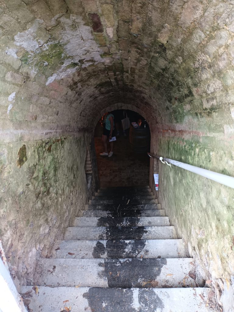 stairway down to one of the champagne houses. This is where they provided their tasting